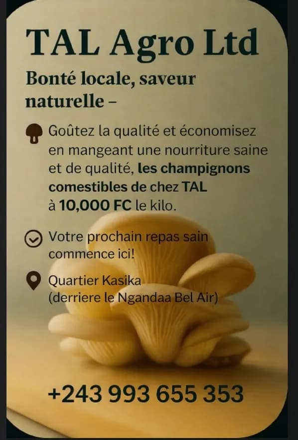 Vente des champignons