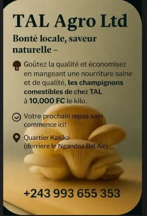 Vente des champignons