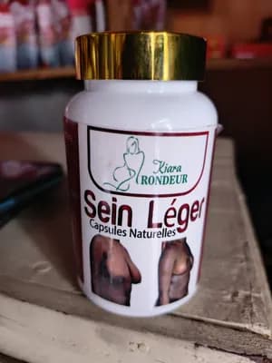 Sein leger