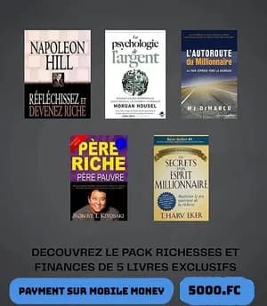 Les livres d'entreprendre et de développement personnel Pour un mindset de millionnaire
