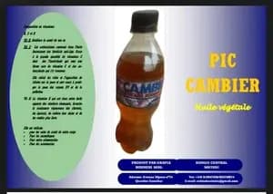 PIC CAMBIER