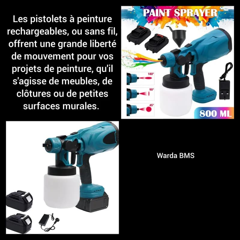 Pistolet à peinture à 45$