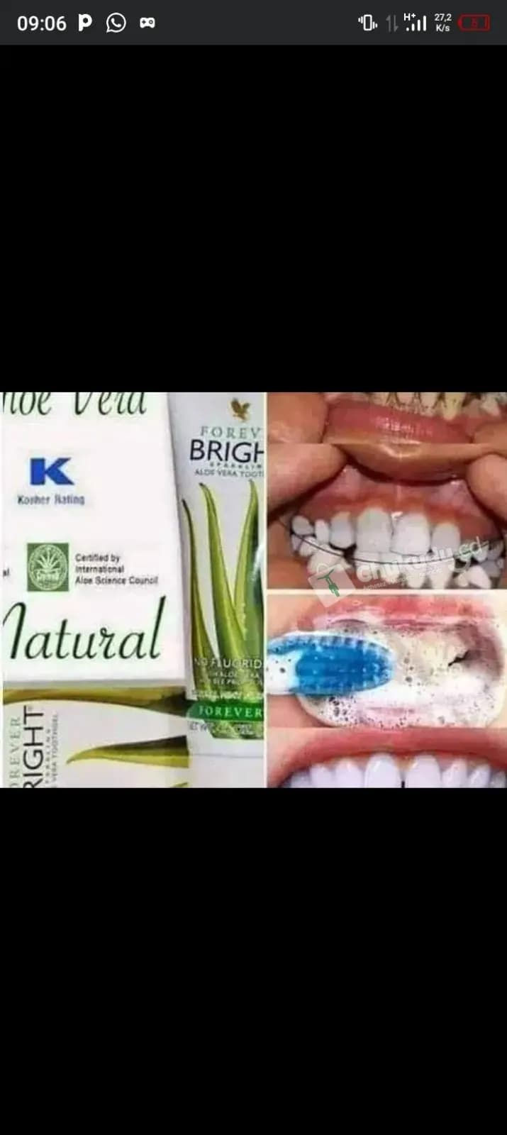 Dentifrice Bright aloe vera — photo 3