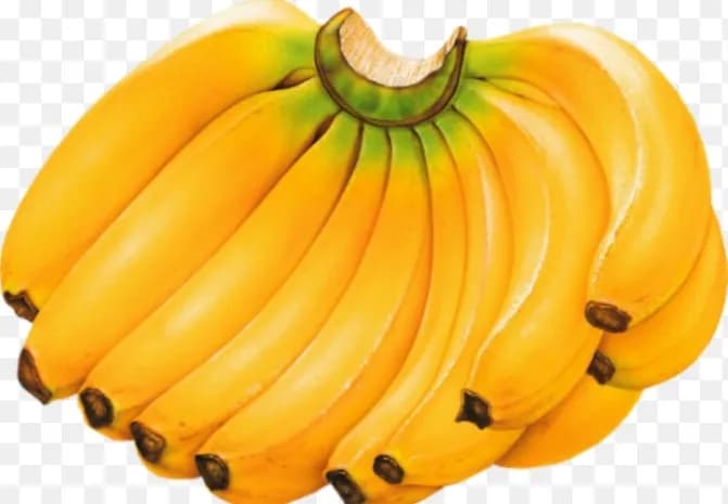 Régime de bananes mûr — photo 2
