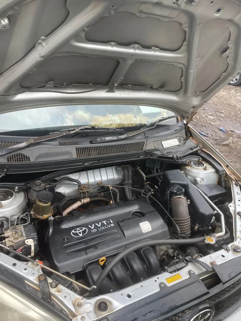 Le Toyota RAV4 2005 — photo 4