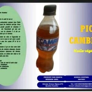 PIC CAMBIER