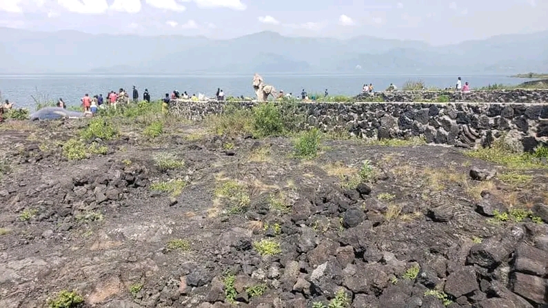 1761202593817
