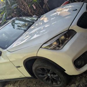 BMW marque X1