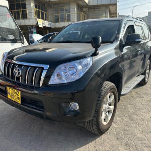 TXL mupya