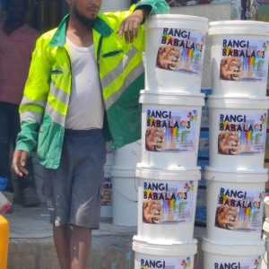 Peinture lavable blanche