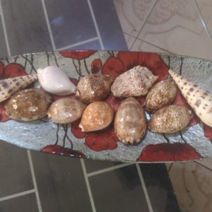 Coquillages