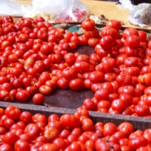 Tomate (kitunga)
