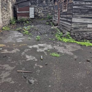 Virunga 8em cepac