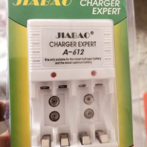 Chargeur pile electrique