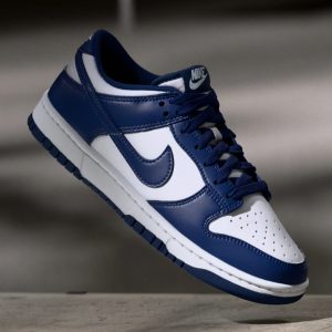 Chaussures Nike