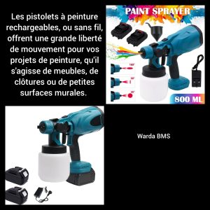 Pistolet à peinture à 45$