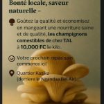 Tal business