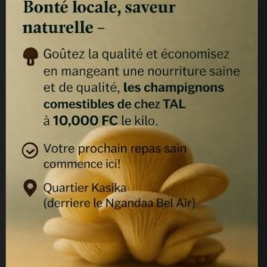 Vente des champignons