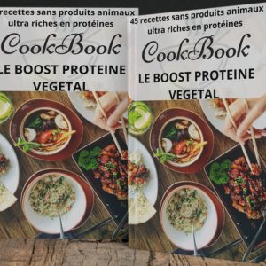 45 recette protéiné végétale