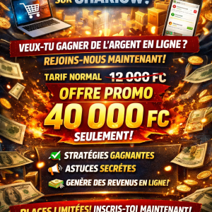 Formation en marketing digital travail en ligne